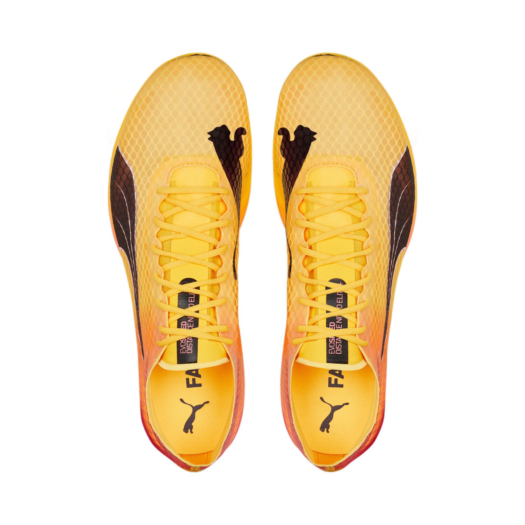 Sapatos de atletismo Puma evoSPEED Distance Nitro ElITe+ 2