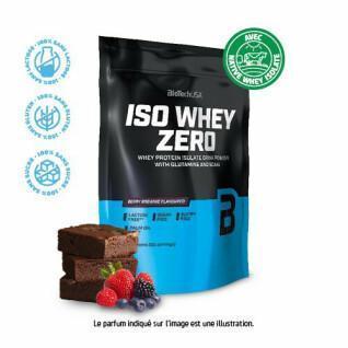 Pacote de 10 sacos de proteína Biotech USA iso whey zero lactose free - Brownie aux fruits rouges - 500g
