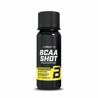 20 ampolas de aminoácidos Biotech USA bcaa shot - Lime