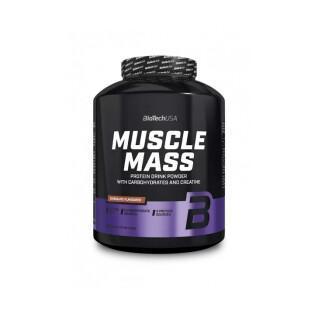 Pote de ganho de massa muscular Biotech USA - Fraise - 4kg