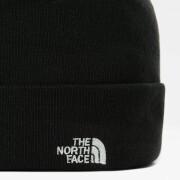 Boné The North Face Norm Shallow