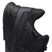 Sapatos de passeio Reebok Astroride Trail GTX 2.